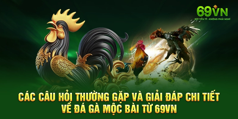 Các câu hỏi thường gặp và giải đáp chi tiết về đá gà Mộc Bài từ 69VN.