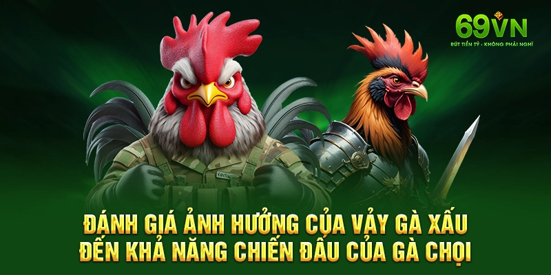Đánh giá ảnh hưởng của vảy gà xấu đến khả năng chiến đấu của gà chọi.