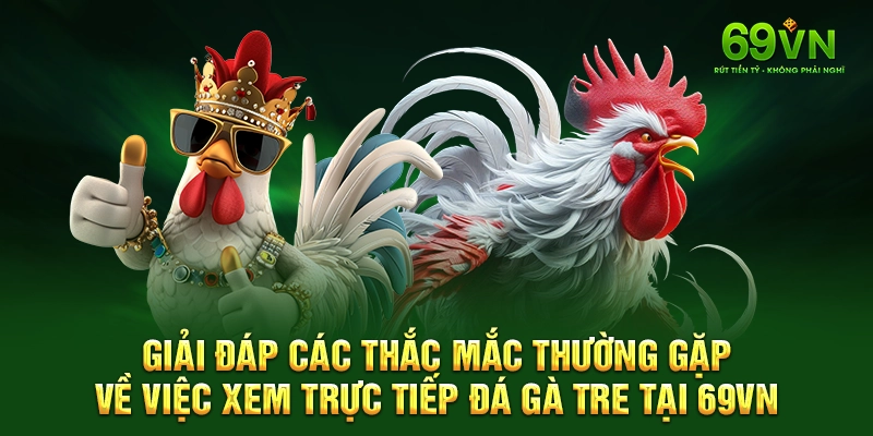 Giải đáp các thắc mắc thường gặp về việc xem trực tiếp đá gà tre tại 69VN.