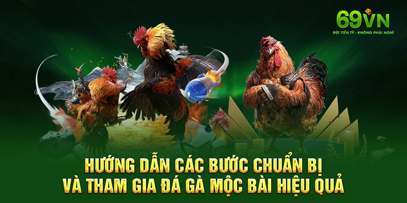 Hướng dẫn các bước chuẩn bị và tham gia đá gà Mộc Bài hiệu quả.
