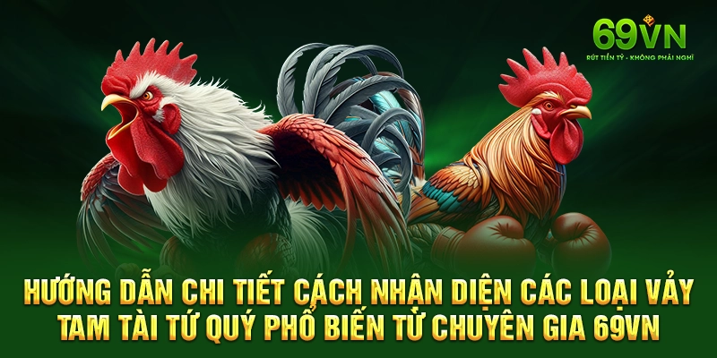 Hướng dẫn chi tiết cách nhận diện các loại vảy tam tài tứ quý phổ biến từ chuyên gia 69VN.