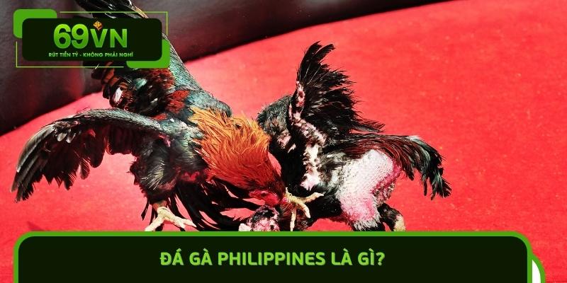 Đá gà Philippines Là Gì?