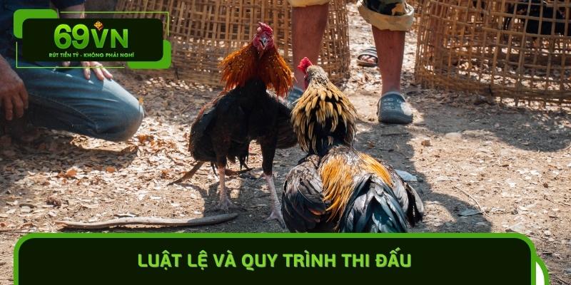 Luật Lệ Và Quy Trình Thi Đấu